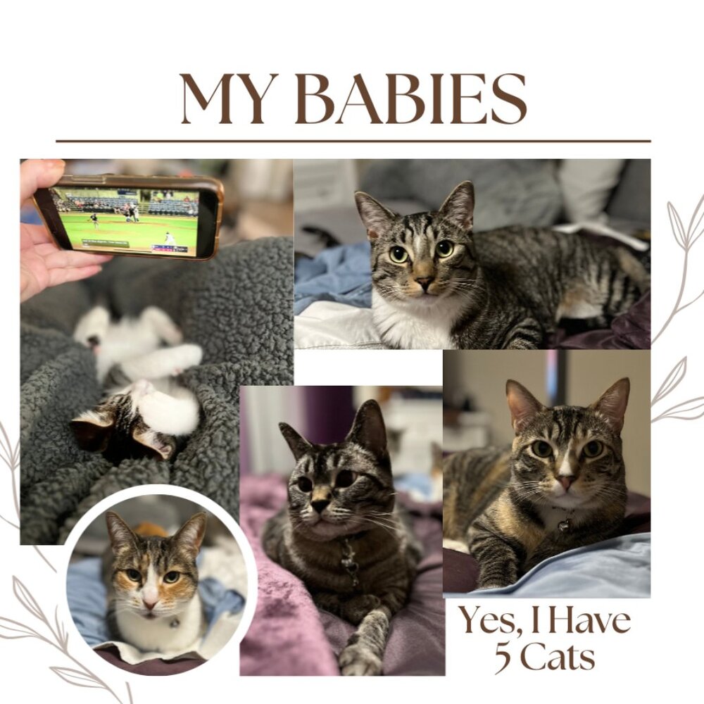 WeSeeStyle_A is LIVE - Picture 13 of 16